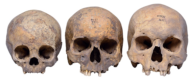 Funeralia Gnieźnieńskie, spotkanie 24